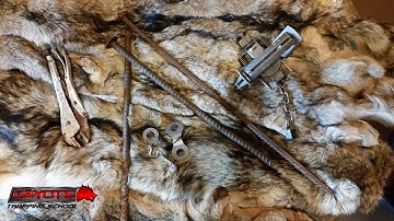 Predator Trapping with Rebar Stakes