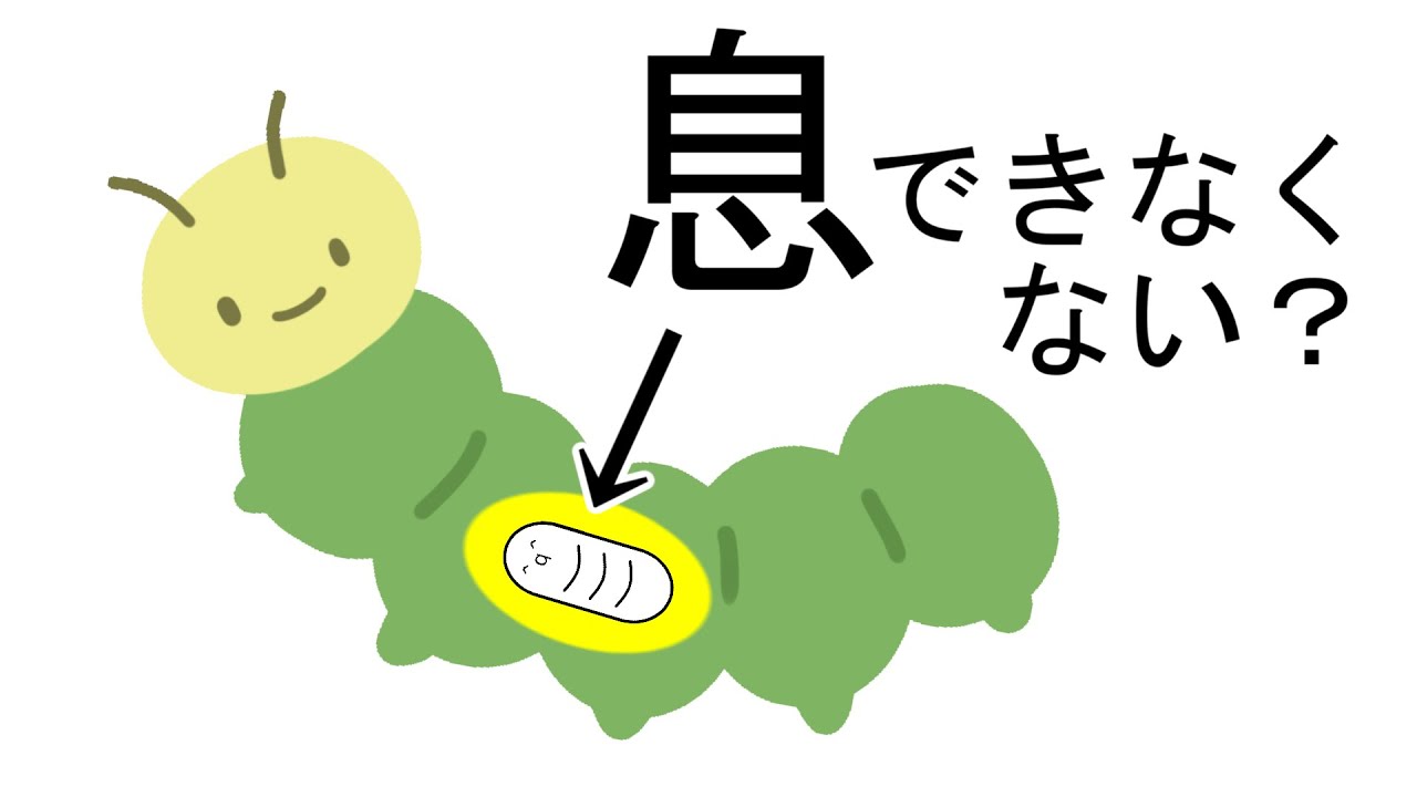 【ゆっくり解説】寄生虫は体の中でどうやって呼吸しているの？【第一回いい質問大賞】