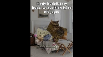 Thumbnail of Budzik Taty 😂 #cats #śmieszne#greenscreen #cat #trend#memes#funny#memy #catmeme