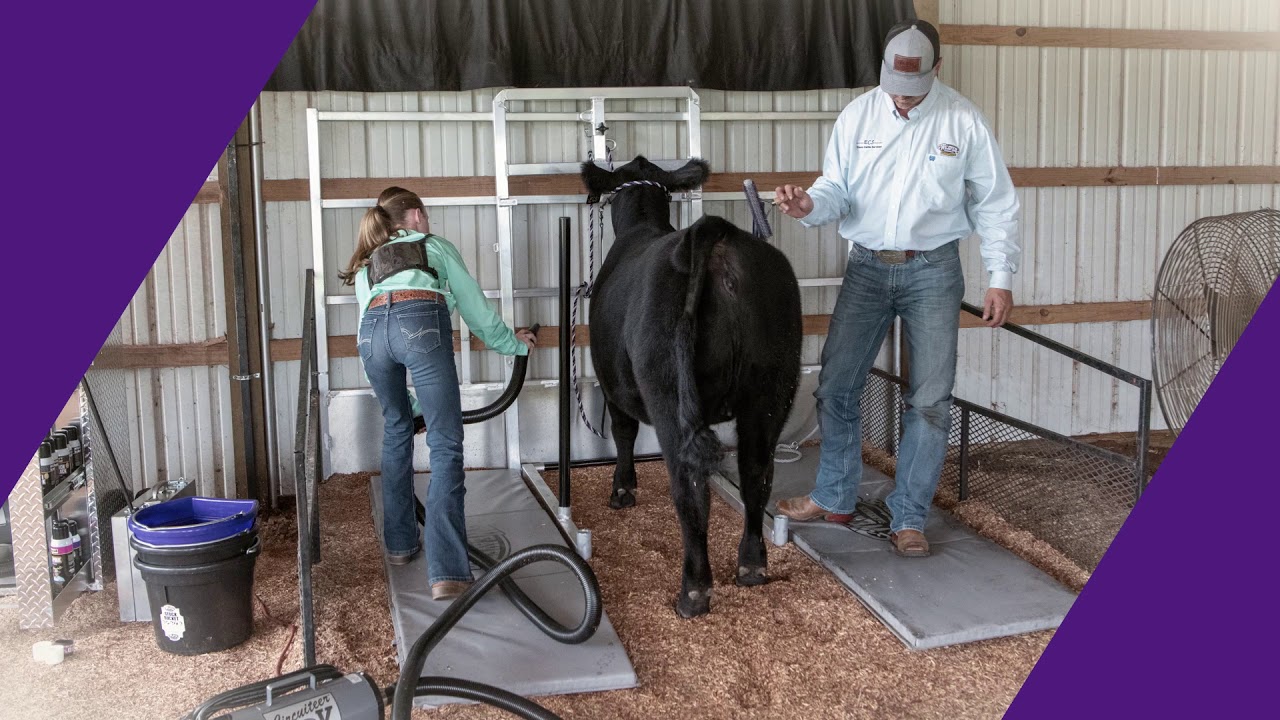 Weaver Leather Livestock Stall Chute YouTube