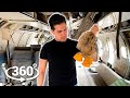 ¿Cómo queda un avión después de un ATERRIZAJE FORZOSO? | VIDEO 360º