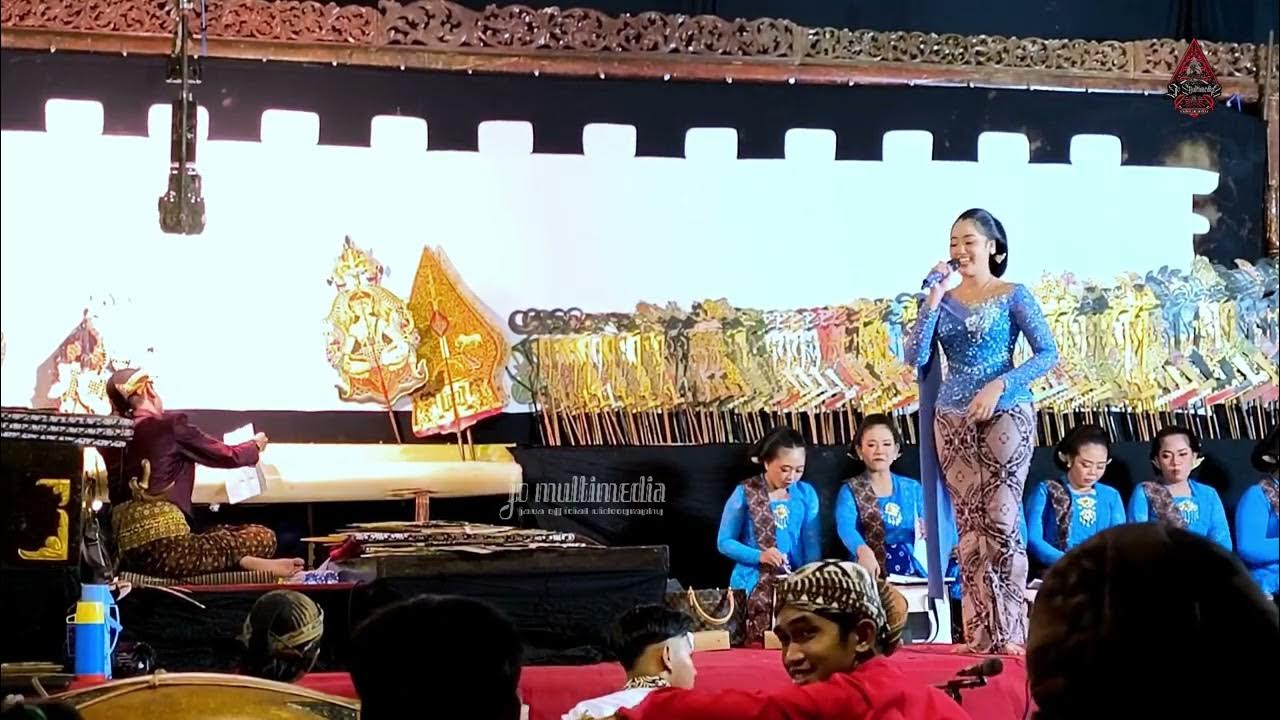 Qizlar va itlar porno