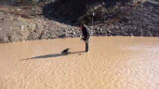 Ricky&Tony lost trails 2