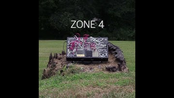 In the Mimeophon, every Zone is a new environment!