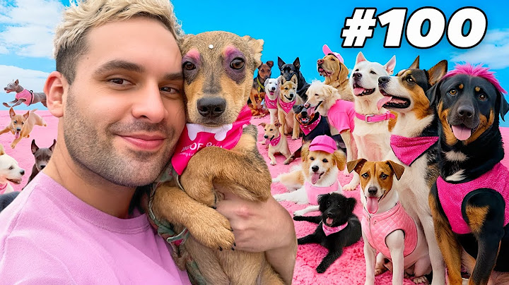 ALISTANDO A 100 PERRITOS PARA SER ADOPTADOS!!