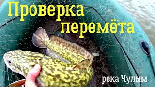 Проверка перемёта. А гальян-то сработал!