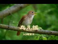 最近超迷 鸟儿摇 鸟鸣与电子乐完美融合 节奏太上头 简直是耳朵的多巴胺 舒缓解压 治愈系音乐 魔性鸟儿摇 最近超迷 鸟儿摇 鸟鸣与电子乐完美融合 节奏太上头 简直是耳朵的多巴胺 舒缓解压 治愈系音乐 魔性鸟儿摇