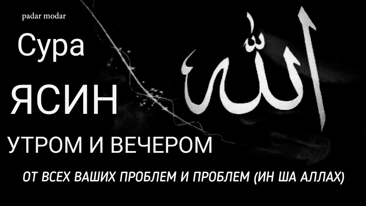 Ясин очищения слушать. Сура ясин. Сура Аль Вакиа от бедности. Ясин 40 раз.