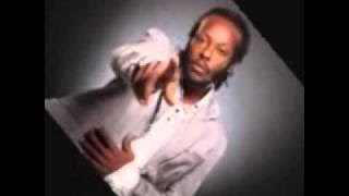 Droop Lion You Cant Hurt Her No More