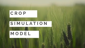 Crop model , brief description of crop simulation model