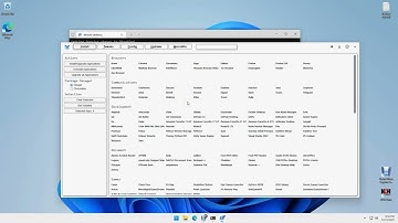 How to Debloat Windows 11