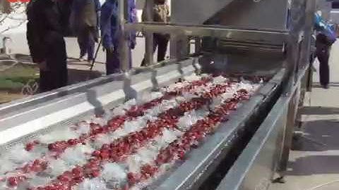 Automatic Dates Cleaning Machine|Jujube Washing Drying Line @gelgoog.com