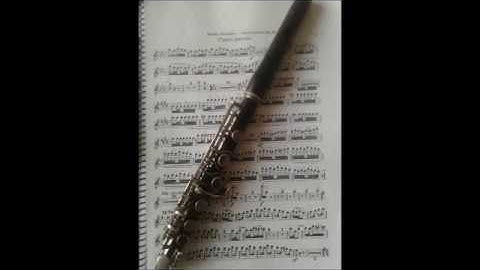 Rimsky-Korsakov - Scheherazade (piccolo excerpt from 4th movement): Vinicius Prates - Piccolo