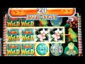 Jungle Wild slot machine Bonus huge payout