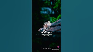 آية الكرسي كاملة بصوت جميل للقارئ الشيخ أحمد العجمي #قران_كريم #ستوريات #quran