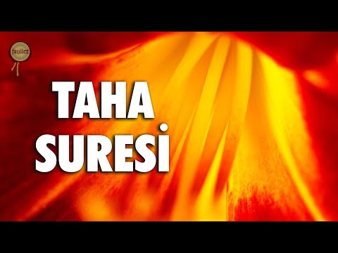 Rabbim gönlüme ferahlık ver | Taha Suresi - Ali Turan