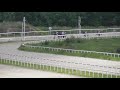 31.05.2020 - Спринтерский приз на лошадях 3-х лет чистокровной верховой породы - Темпл Рок
