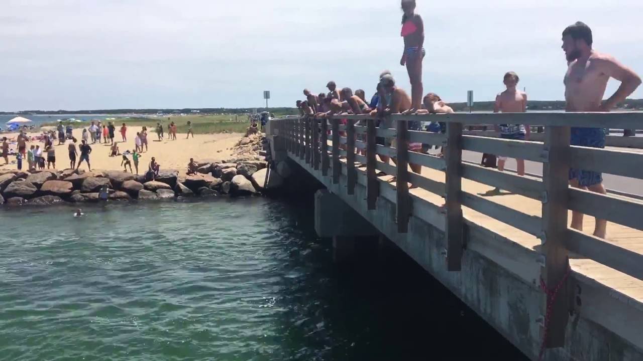 Jaws bridge jumping youtube