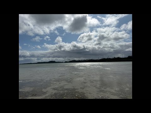 【沖縄うるま市】裏のオアシス浜（海中道路の浜）