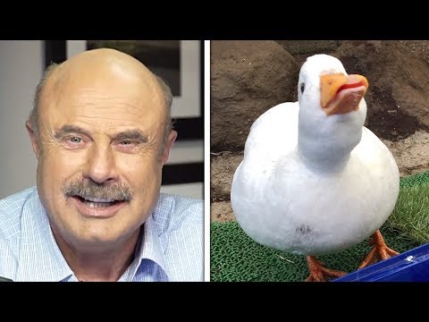 dr-phil-hosts-meme-review-in-an-alternate-universe