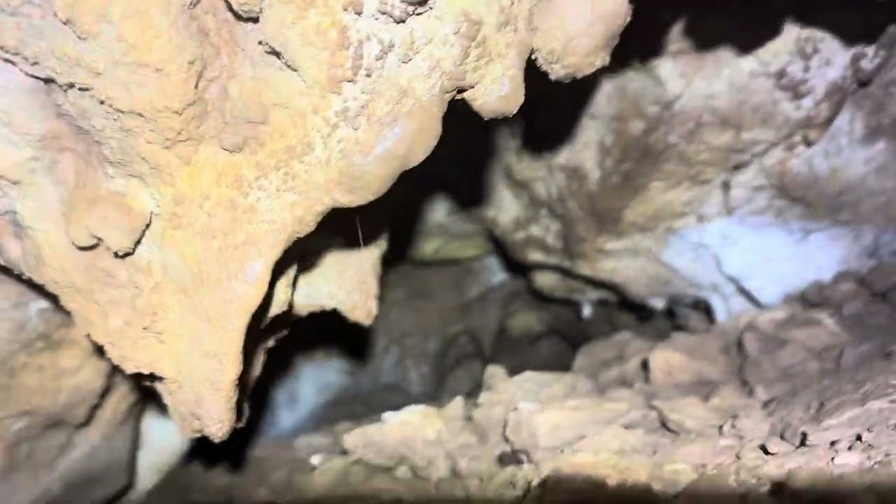 Le trou de la famille souris - épisode 2 