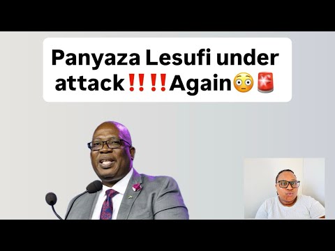Panyaza Lesufi Under Attack Again