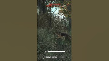 Why does VATS always fail me! Fallout 4 #subscribe #shorts