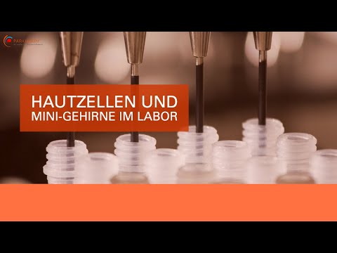 Video: Experimentelle Ansätze Zur Erzeugung Induzierter Pluripotenter Stammzellen