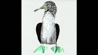 Cosmo Sheldrake - Frigate birds (Galápagos Original Series Soundtrack)