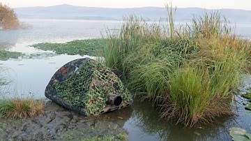 Using a Floating Bird Hide - Bird Photography on (IN) the Water