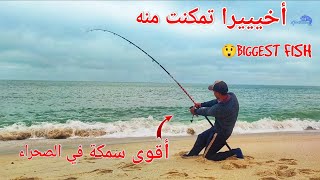 أخيرا تمكنت من صيد أضخم سمك الصحراء بالقصبة وزن هائل  Biggest fish