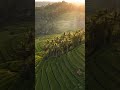 Healing view from the sky. 100% Peace. 🍃