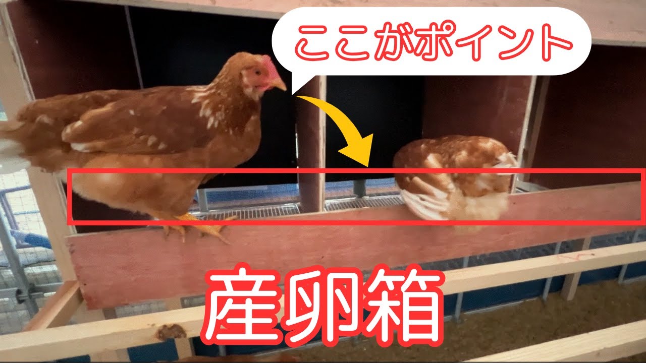 これから作る人は絶対見てほしい！産卵箱の作り方｜実践編