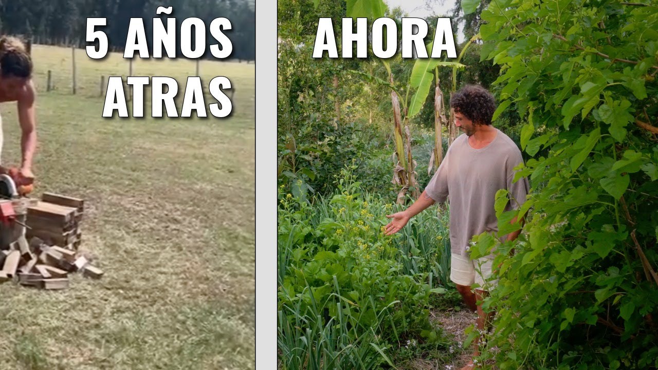 De CAMPO PELADO a BOSQUE de ALIMENTOS - ÉPICA REGENERACIÓN de la TIERRA