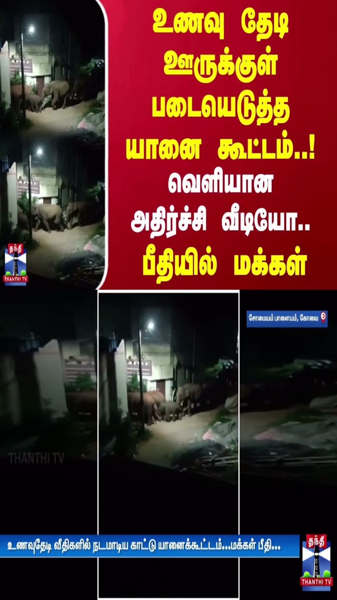 உணவு தேடி ஊருக்குள் படையெடுத்த யானை கூட்டம்..! வெளியான அதிர்ச்சி வீடியோ.. பீதியில் மக்கள்
