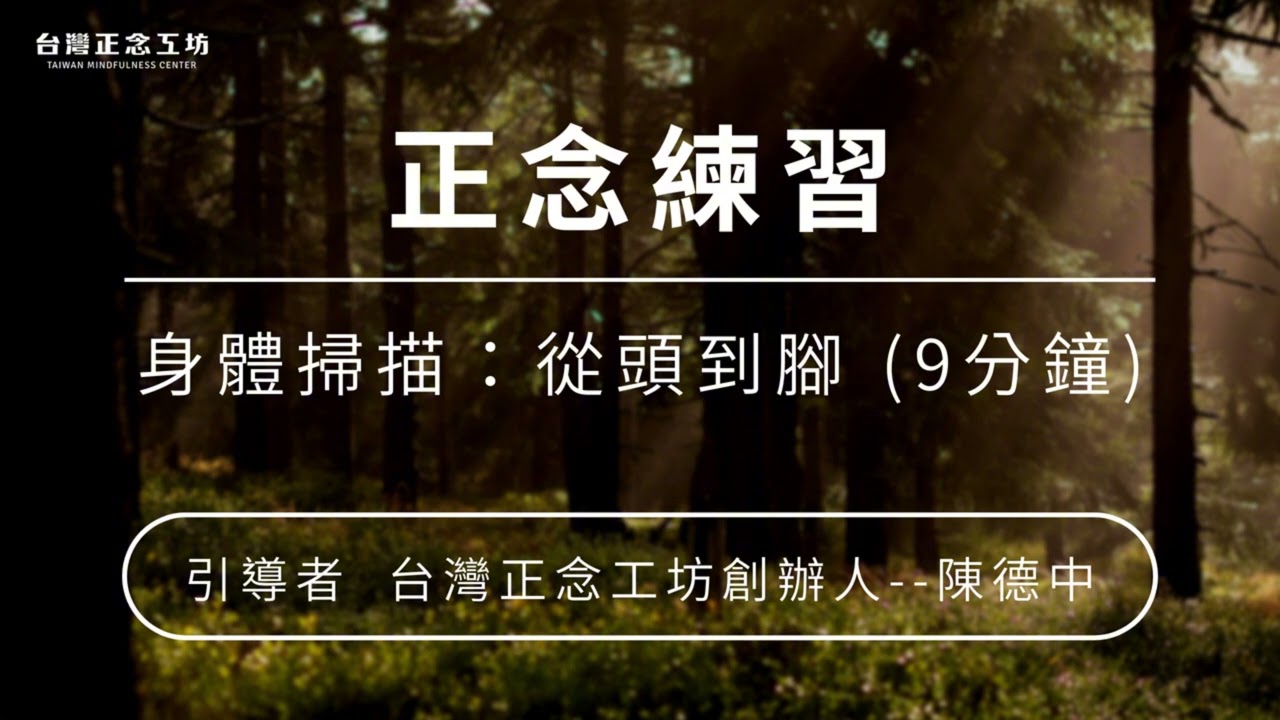 身體掃描：從頭到腳 (9 分鐘) — 陳德中老師引導｜正念練習音檔 縮圖
