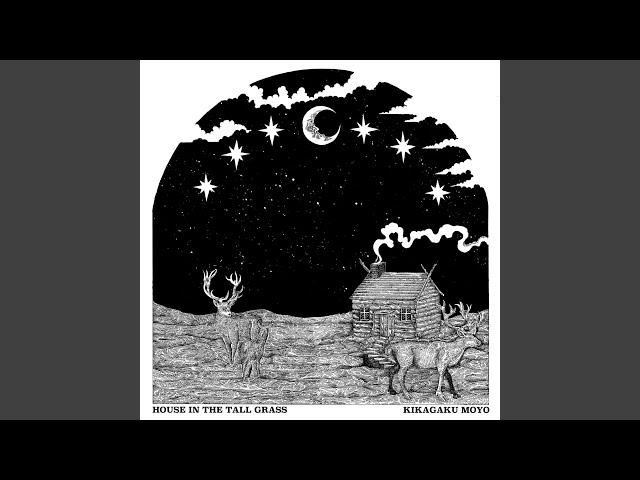 幾何学模様 レコード「草生い茂る家」 HOUSE IN THE TALL GRASS / 草