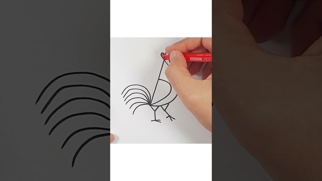 How to Draw Rooster - Easy Drawing 