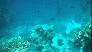 DSCF0101