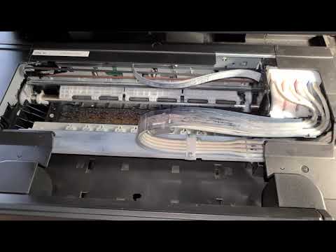 EPSON L222 печатающая головка брак