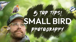 5 Top Tips for Small Bird Photography - Episode 2, 2024