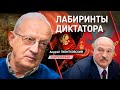Андрей Пионтковский: Сценарий Путина и Лукашенко по аншлюсу и трансферу власти в Беларуси провалится