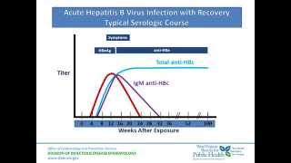 Acute Hepatitis B Serologic Course