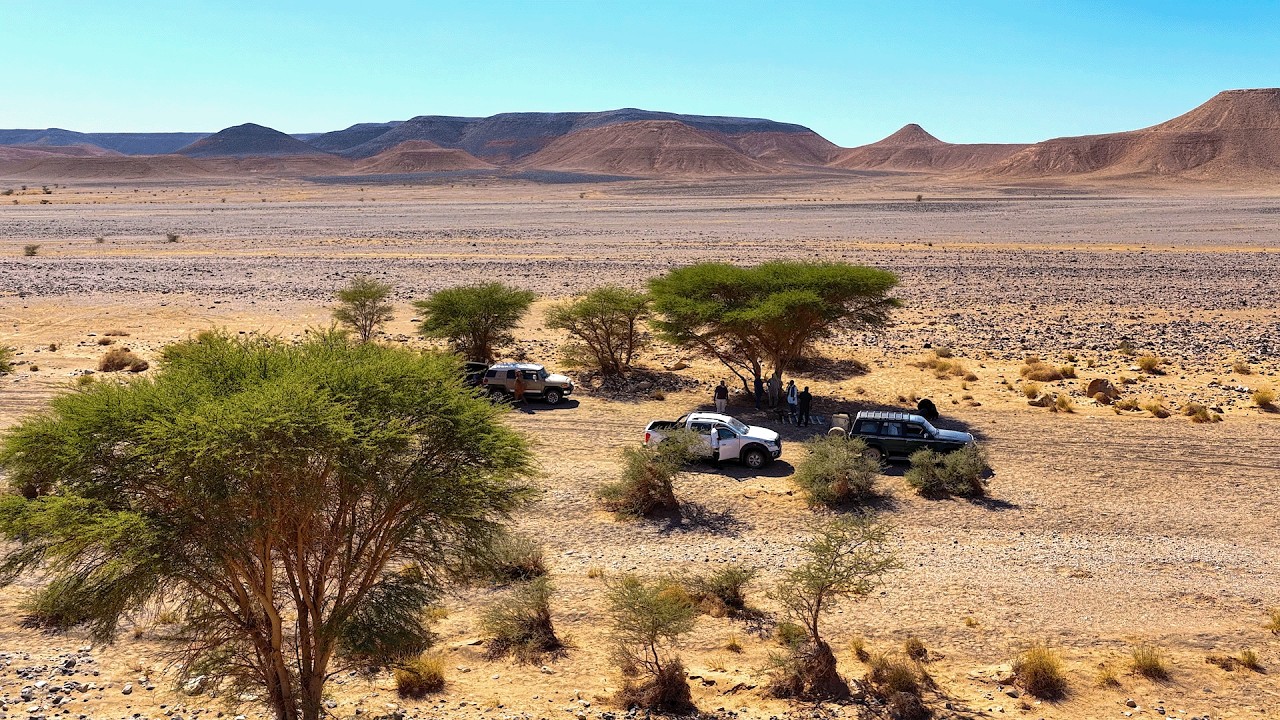 رعي الأغنام في ليبيا سنة 1948 