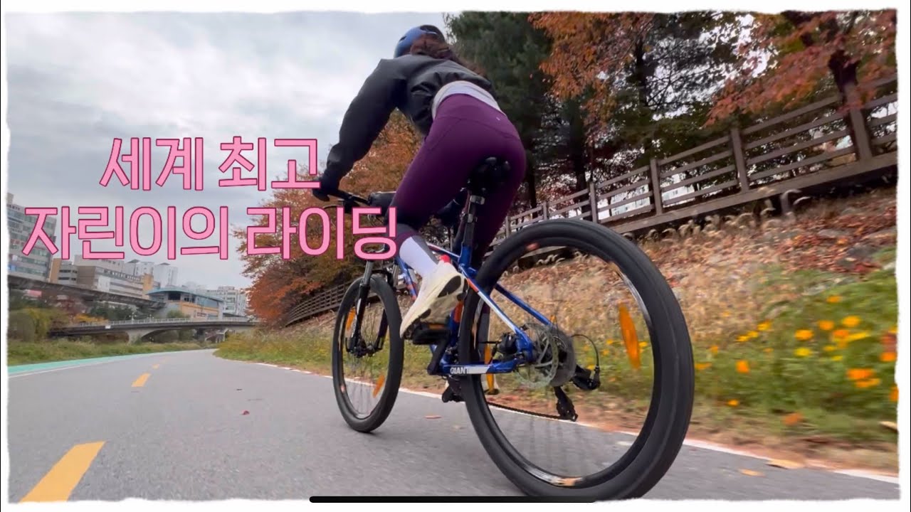 아무것도 모르는 자린이