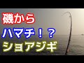 ジギングで磯から青物がぁああ！！