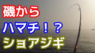 ジギングで磯から青物がぁああ！！