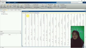 TUTORIAL CARA MEMBACA FILE CITRA DI APLIKASI MATLAB DAN MENAMPILKANNYA