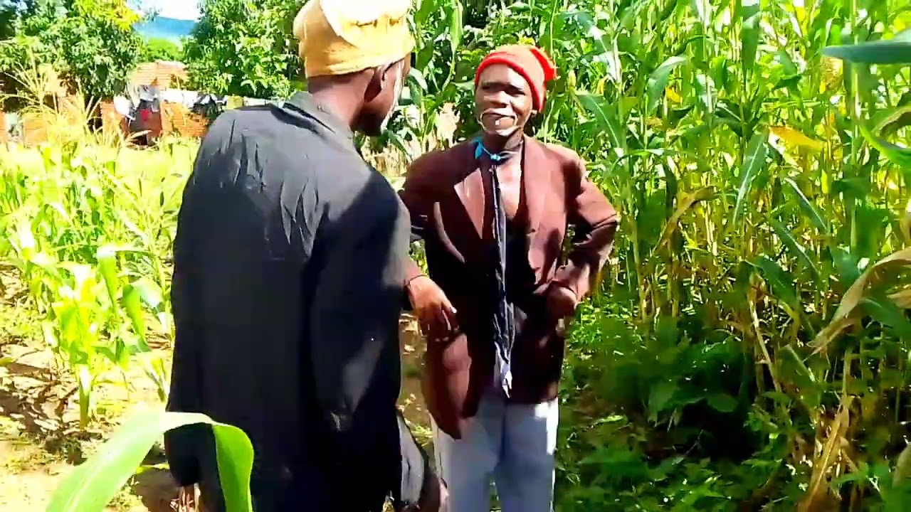 Humorista Friezi ft Sombra__Quando Chegar em casa não pode falar.