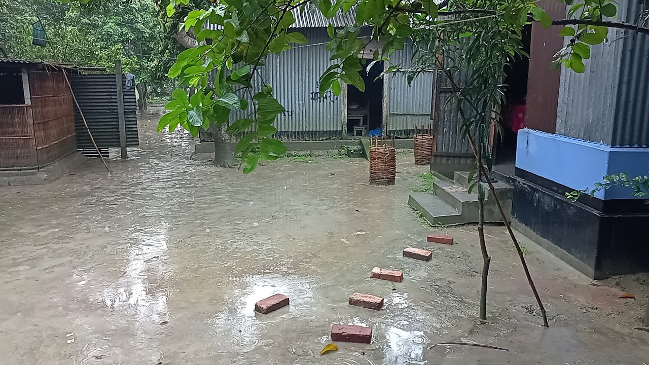 বৃষ্টির দিনে গ্রামের বাড়িতে খুব ভালো লাগে।#গ্রাম #বাংলাদেশের#গ্রামীণজীবন  #bangladesh #Village life